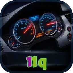11q